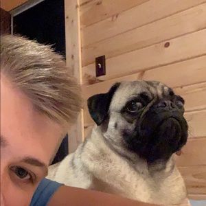 Meet your Posher, Weston